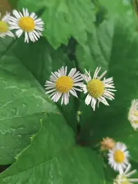 20260730124131.webp