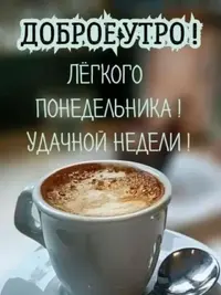 SaveClip.App_762178637_18430595038198278_7494607051508698636_n_640.jpg.webp