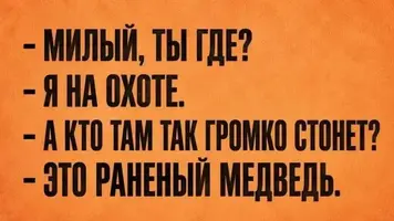 7ktsozxr_lg.webp