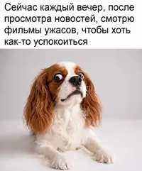 SaveClip.App_765239598_17984016873024112_4371002813131009147_n_640.webp