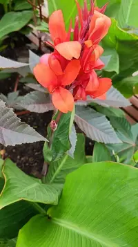 20260813085234.webp