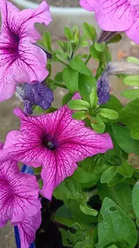 20260813193325.webp