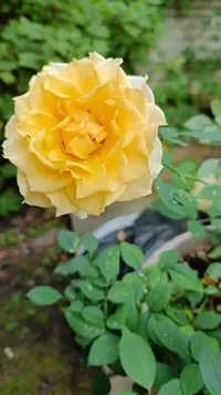 20260813193328.webp