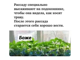 2743.webp