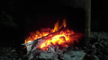 1000659233.webp