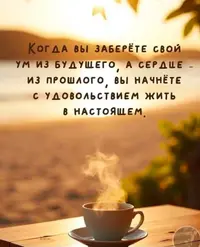 2842.webp