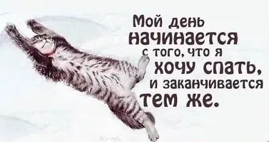 2872.webp