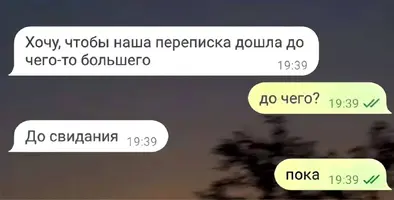 1000057481.webp