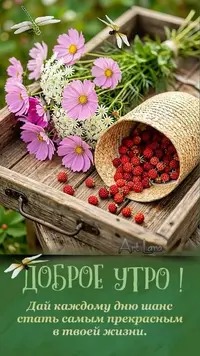 31_071746_468.webp