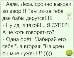 2893.webp