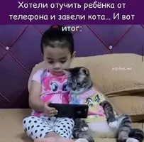 2892.webp
