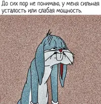 1000033816.webp