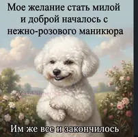 IMG_3886.webp