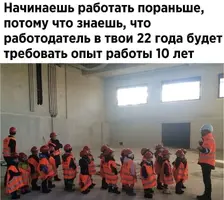 2913.webp
