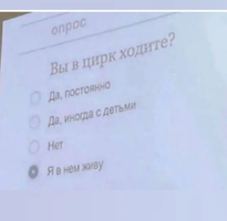 1000034067.webp