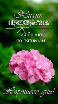 4_143129_263.webp