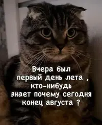Screenshot_2026-08-29-09-26-24-98_f9ee0578fe1cc94de7482bd41accb329.webp
