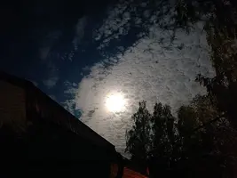 20260828235220.webp