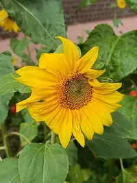 20260829111147.webp