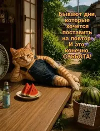 SaveClip.App_789950058_18124642886497947_1214132443468045465_n_640.jpg.webp