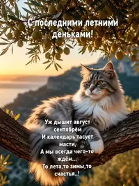 SaveClip.App_782362404_18366316879240087_1553817415805497645_n_640.webp