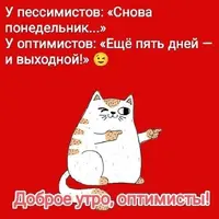 24_151119_900.webp
