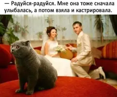 2962.webp
