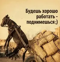 2966.webp