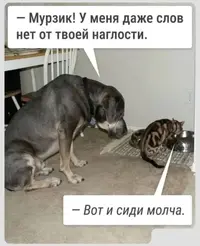 Screenshot_2026-08-31-20-49-23-30_f9ee0578fe1cc94de7482bd41accb329.webp