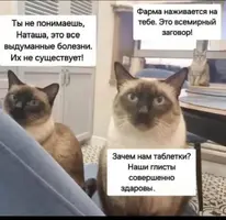 Screenshot_2026-08-31-21-57-35-18_f9ee0578fe1cc94de7482bd41accb329.webp