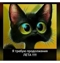 ea281e5b2ecd0d80f5c4db7a1d7b6544.webp