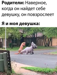 4_174806_077.webp