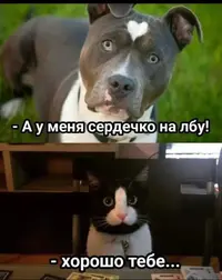 Screenshot_2026-08-31-21-54-55-91_f9ee0578fe1cc94de7482bd41accb329.webp