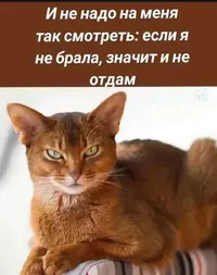 Screenshot_2026-09-01-20-12-25-06_f9ee0578fe1cc94de7482bd41accb329.webp
