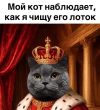 2960.webp