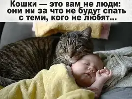 Screenshot_2026-09-06-05-51-17-73_f9ee0578fe1cc94de7482bd41accb329.webp
