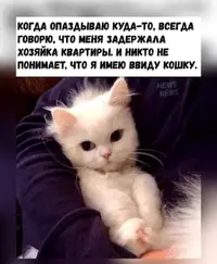 Screenshot_2026-09-04-21-36-03-08_f9ee0578fe1cc94de7482bd41accb329.webp
