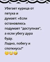 SaveClip.App_792224119_17946395034266986_4349643073856868973_n_640.webp