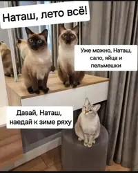 Screenshot_2026-09-05-21-49-07-94_f9ee0578fe1cc94de7482bd41accb329.webp