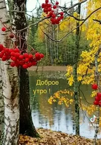 95226387678cae751ac4058ed2586892.webp
