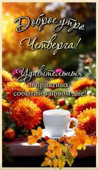9_132805_800.webp
