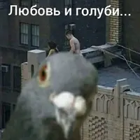 912-172613.webp
