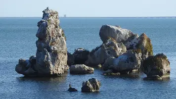 imgonline-com-ua-Resize-3J4jLcZYAujES.webp