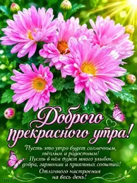 SaveClip.App_808175721_18438191017198278_6238496330387238895_n_640.jpg.webp