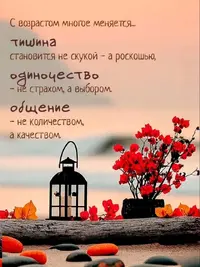 SaveClip.App_804230101_18353011315175914_7934601147505887293_n_640.webp