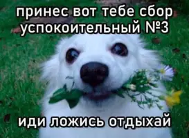 IMG_5411.webp