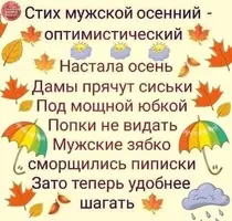 3136.webp