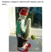 3141.webp