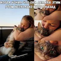 IMG_5699.webp