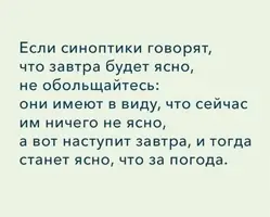 3139.webp